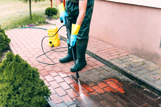 Best Roof Pressure Washing  in Hokes Bluff, AL