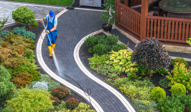 Best Pressure Washing Siding  in Hokes Bluff, AL