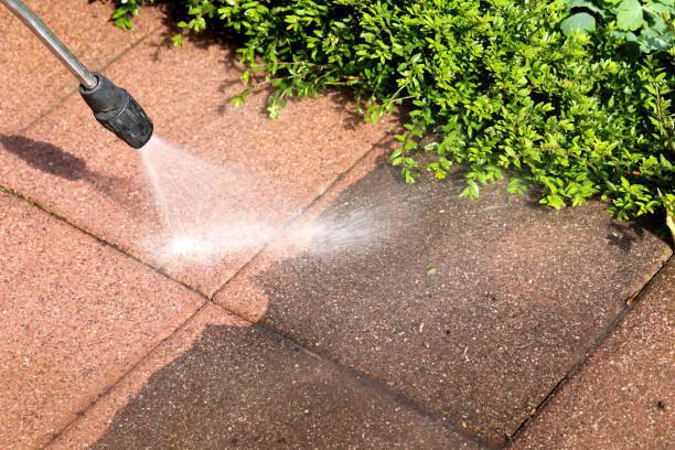 Best Power Washing Near Me  in Hokes Bluff, AL